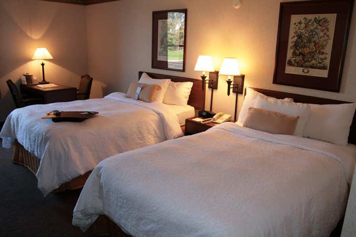 Hampton Inn Detroit Madison Heights South Troy Rum bild